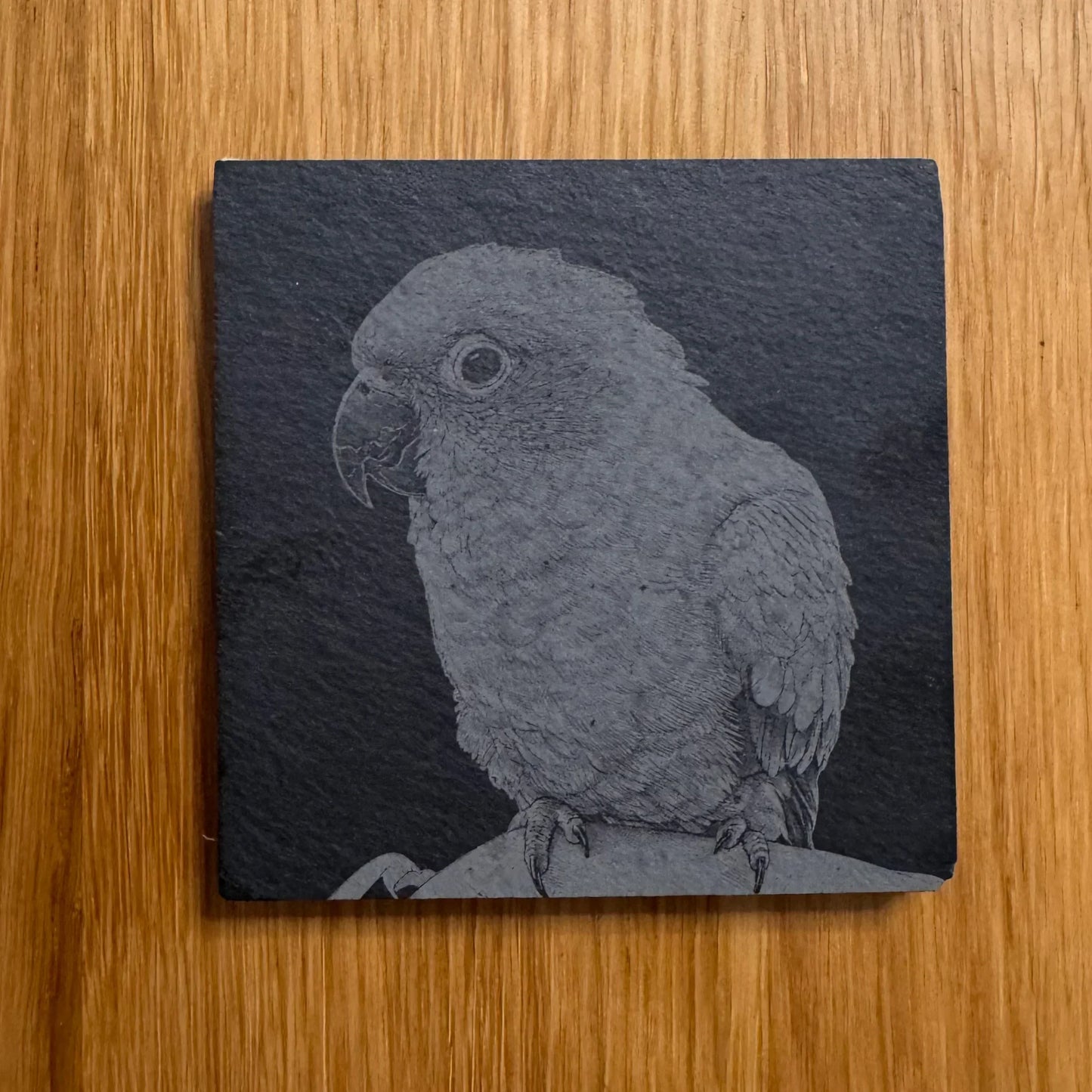 Slate coaster with engraved parrot design, perfect for unique home decor or gifts.