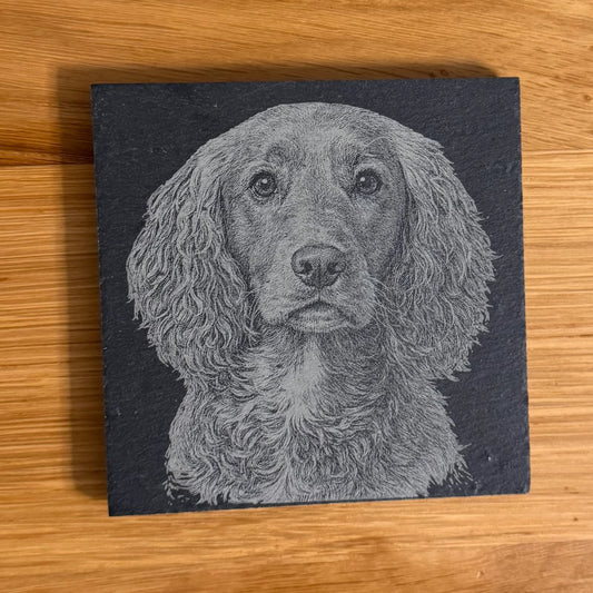 Slate coaster with engraved cocker spaniel portrait, perfect for dog lovers